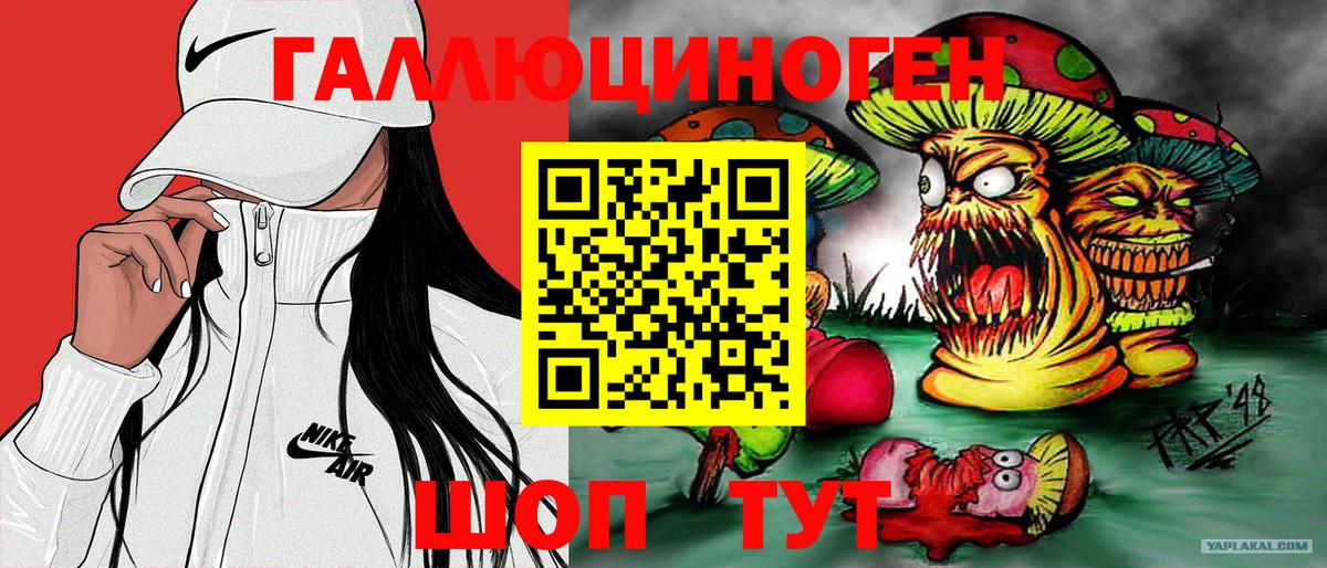 Галлюциногенные грибы Psilocybine cubensis Щёлково