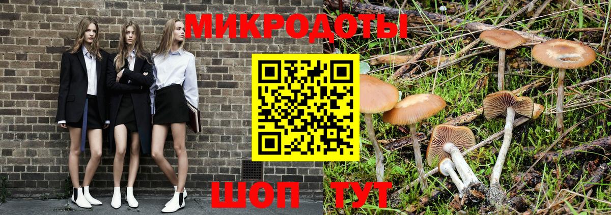 Щёлково  Галлюциногенные грибы Cubensis  Вход с VPN 